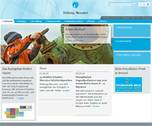 Referenz Stiftung Mercator